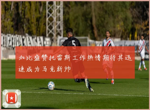 加比盛赞托雷斯工作热情期待其迅速成为马竞新帅